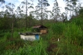 DSC00178
