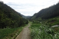 DSC00186