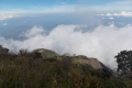 DSCN2411