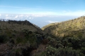 DSCN2441