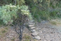 DSCN2446