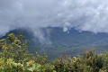 Leuser-Day-10-open-views-from-the-forest-Mathis-Joffrain-and-Loic-Henriot-February-2025