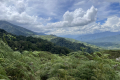 Leuser-Day-11-Kedah-hills-Mathis-Joffrain-and-Loic-Henriot-February-2025