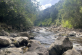 Leuser-Day-3-Alas-River-Mathis-Joffrain-and-Loic-Henriot-February-2025