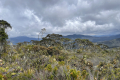 Leuser-Day-4-luxurious-savannahs-Mathis-Joffrain-and-Loic-Henriot-February-2025
