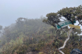 Leuser-Day-7-summitting-Leuser-Mathis-Joffrain-and-Loic-Henriot-February-2025