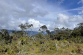Leuser-Day-9-back-in-nice-vegetation-Mathis-Joffrain-and-Loic-Henriot-February-2025
