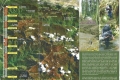tngl-front-colour-page-001