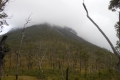 alor-to-flores-393