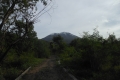 alor-to-flores-239
