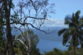 alor-to-flores-252