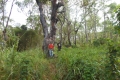 alor-to-flores-253