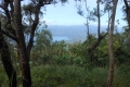 alor-to-flores-254