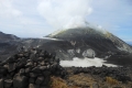 alor-to-flores-278