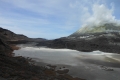 alor to flores 301