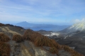 alor to flores 310