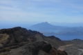 alor to flores 313