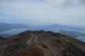 alor to flores 317