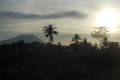 alor to flores 319