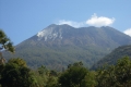 lewotolo5