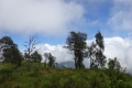 DSC06375
