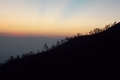 DSCN7106