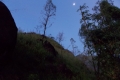DSCN7116