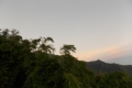 DSCN7132