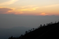 DSCN7133