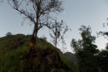DSCN7135