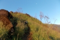 DSCN7171