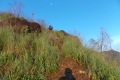 DSCN7174