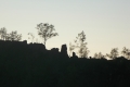 DSCN7181