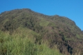 DSCN7190