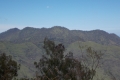 DSCN7277