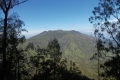 DSCN7294