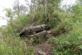 DSCN7315