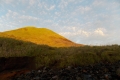 DSCN2936
