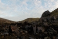 DSCN2941