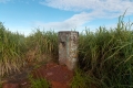 DSCN3020