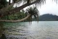 laut-2