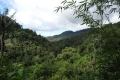 laut-4