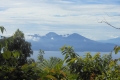 tomohon-bunaken-tangkoko-189