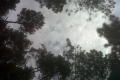 cloudy