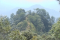 manglayang 129