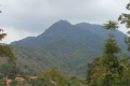 manglayang 136