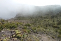 marapi-true-peak-051