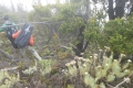 marapi-true-peak-057