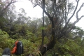 marapi-true-peak-058