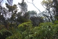 marapi true peak 061